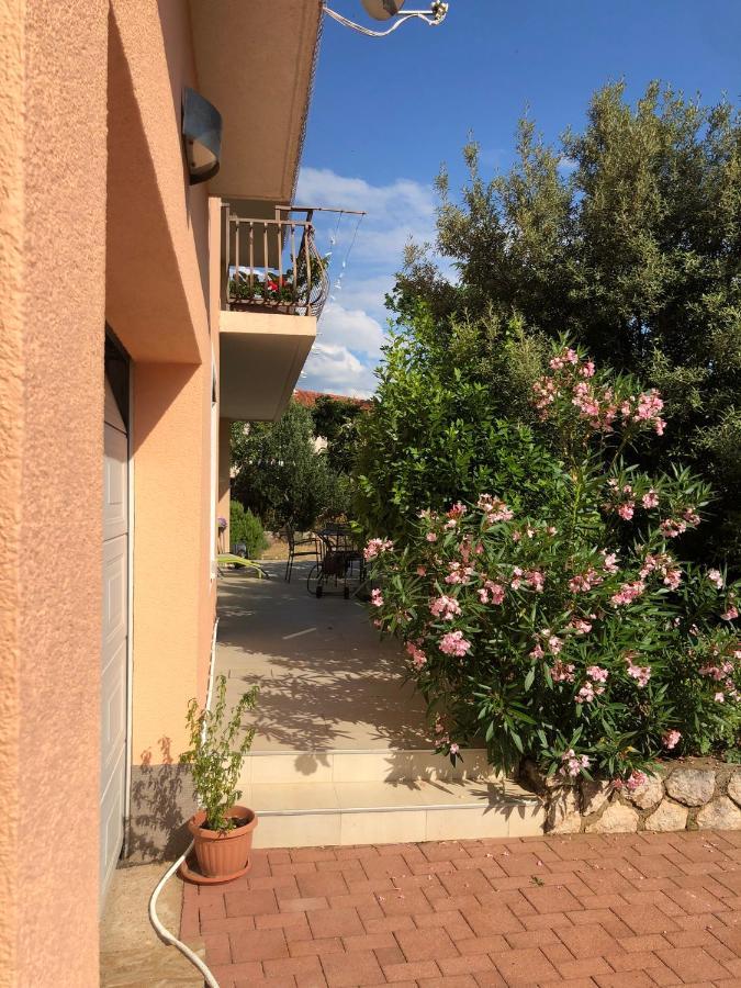 Apartament Ruza *